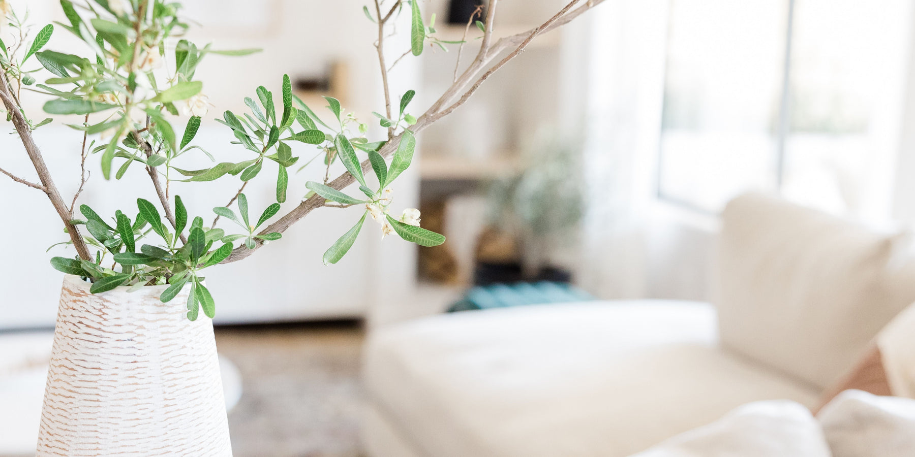 Plumbing Essentials Every New Homeowner Should Know