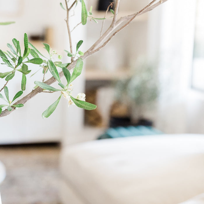 Plumbing Essentials Every New Homeowner Should Know