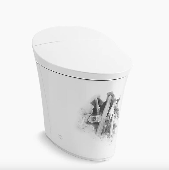 Landshapes™ by Daniel Arsham One-piece Elongated Smart Toilet, Dual-Flush