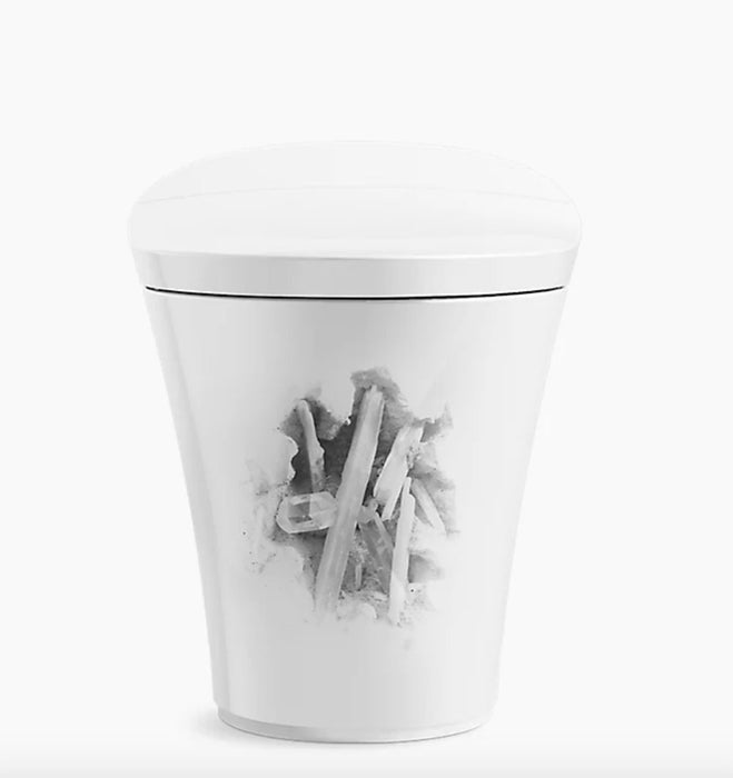 Landshapes™ by Daniel Arsham One-piece Elongated Smart Toilet, Dual-Flush