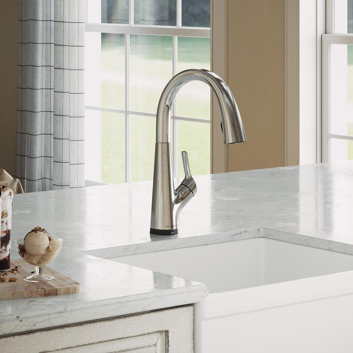 Avado Single Hole 2-in-1 Kitchen Faucet with Filtered Drinking Water