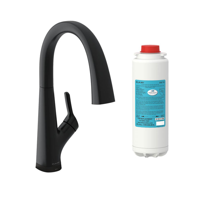 Avado Single Hole 2-in-1 Kitchen Faucet with Filtered Drinking Water