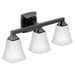 Voss Matte black three globe bath light